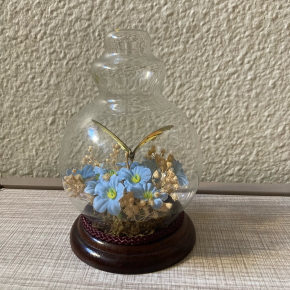 Real Butterfly Taxidermy Mini Globe Vintage - Picture 4 of 6